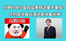 519694基金今日净值,市场波动下的投资洞察