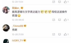 娱乐吃瓜恶作剧,恶作剧背后的欢乐与争议