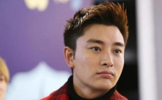 娱乐圈吃瓜贾乃亮是谁,娱乐圈吃瓜群众心中的焦点人物