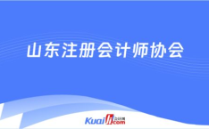 山东注册会计师协会,山东注册会计师协会发展历程与成就概述