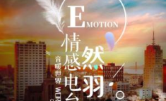 情感网络电台在线收听,网络电台带你走进心灵深处