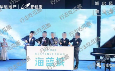 娱乐吃瓜报道文章素材,明星们的幕后故事大揭秘!