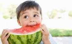 娱乐吃瓜君和二豆,揭秘娱乐圈背后的那些事儿