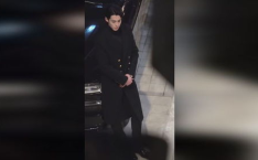 吃瓜新娱乐王鹤棣,吃瓜新娱乐，揭秘娱乐圈背后的故事