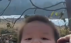 娱乐吃瓜酱喊男生宝宝,揭秘明星间的甜蜜互动