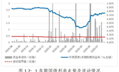 债券市场,利率波动与投资策略洞察